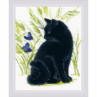 Black le chat 2001 Riolis