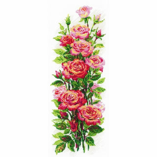 Roses en fleurs 2057 Riolis