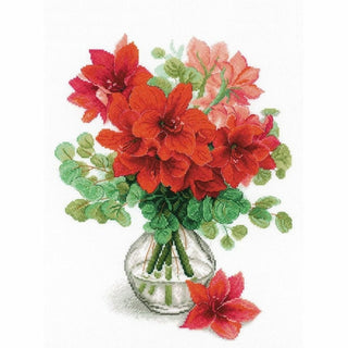 Amaryllis 2070 Riolis
