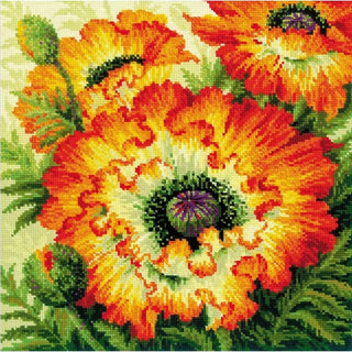 Coquelicots de feu 2080 Riolis