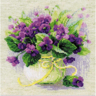 Violettes en pot 2091 Riolis
