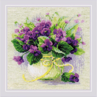 Violettes en pot 2091 Riolis