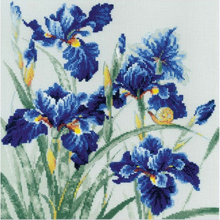 Iris bleu 2102 Riolis