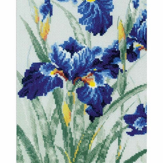 Iris bleu 2102 Riolis