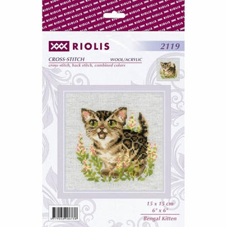 Chaton bengal 2119 Riolis
