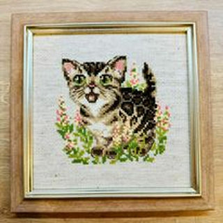 Chaton bengal 2119 Riolis