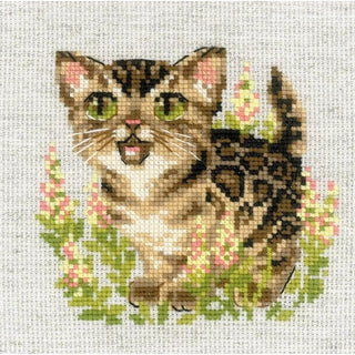 Chaton bengal 2119 Riolis