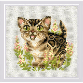 Chaton bengal 2119 Riolis