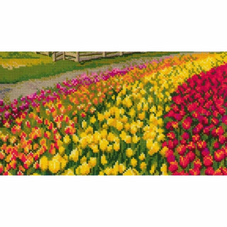 Champ de tulipes 2148 Riolis