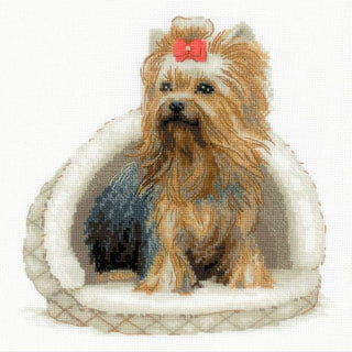 Yorkshire Terrier 2152 Riolis