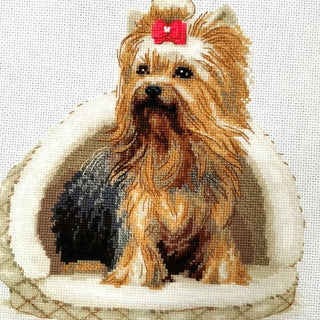 Yorkshire Terrier 2152 Riolis