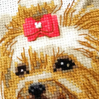 Yorkshire Terrier 2152 Riolis