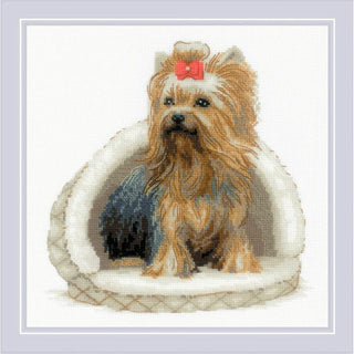 Yorkshire Terrier 2152 Riolis