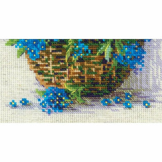 Myosotis 2170 Riolis