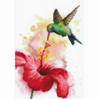 Colibri 2178 Riolis