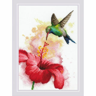 Colibri 2178 Riolis