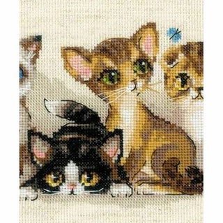 Chatons 2180 Riolis