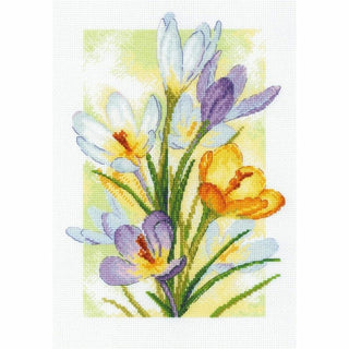 Lueur printanière Crocus 2190 Riolis