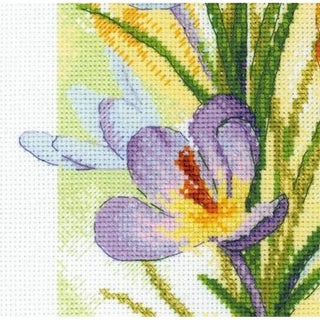 Lueur printanière Crocus 2190 Riolis