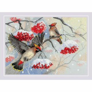 Murmures d hiver 2207 Riolis