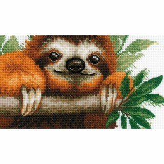 Paresseux 2213 Riolis