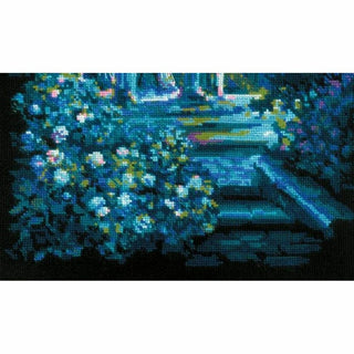 Magie du clair de lune 2216 Riolis