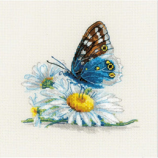 Beauté fragile 2220 Riolis