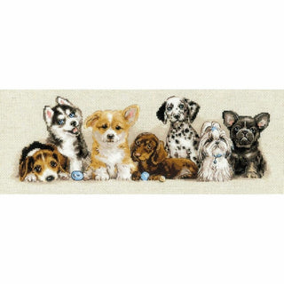 Chiots 2221 Riolis