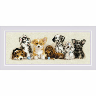 Chiots 2221 Riolis