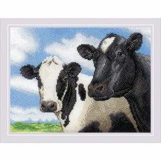 Vaches 2237 Riolis