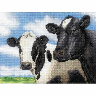 Vaches 2237 Riolis