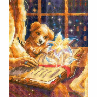 Livre magique 2262 Riolis