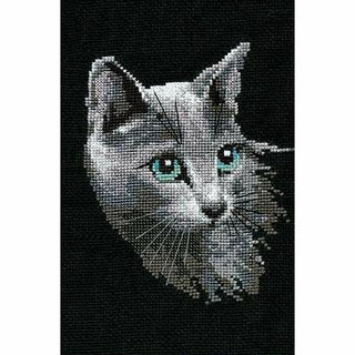 Chat Bleu Russe 764 Riolis