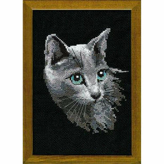 Chat Bleu Russe 764 Riolis