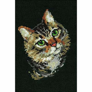 Chat tigré 766 Riolis