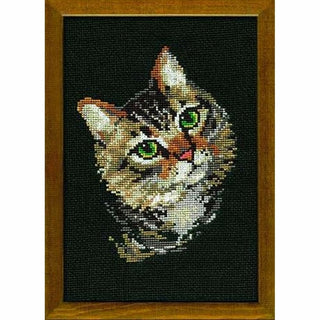 Chat tigré 766 Riolis