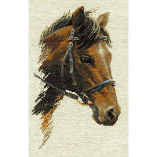 Cheval Bulat 826 Riolis
