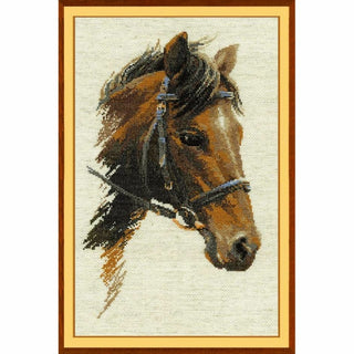 Cheval Bulat 826 Riolis