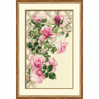 Roses de jardin - 898 - Riolis