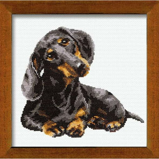 Teckel chien sympa 906 RIOLIS