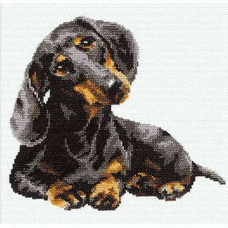 Teckel chien sympa 906 RIOLIS