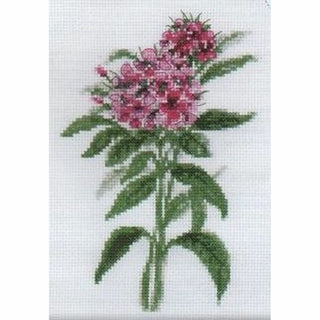 Fleurs C125 RTO