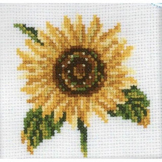 Fleur de Tournesol H170 RTO