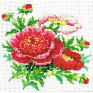 Pivoines rouge M074 RTO