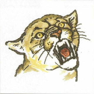 Puma M093 RTO