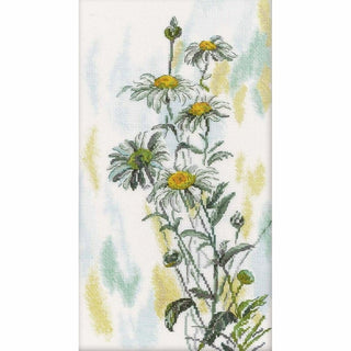 Marguerites M261 RTO