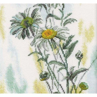 Marguerites M261 RTO