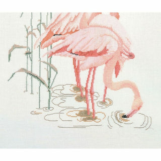 Flamant rose 1070 Aida Thea Gouverneur