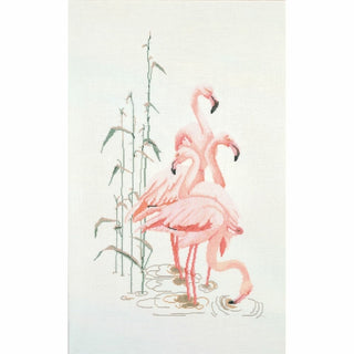 Flamant rose 1070 Aida Thea Gouverneur