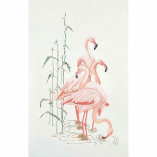 Flamant rose 1070 Aida Thea Gouverneur